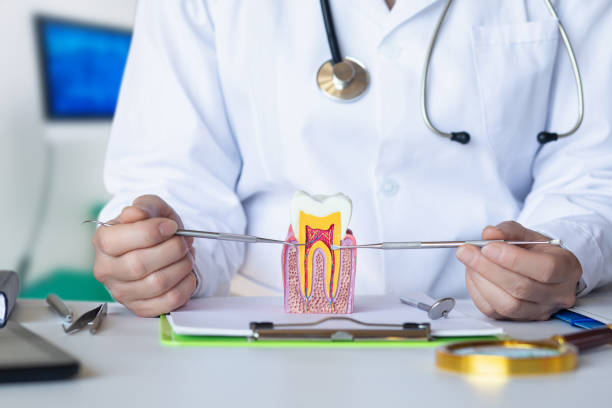 Best Emergency Wisdom Tooth Extraction in Wyboo, SC